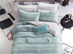 Комплект постельного белья Сатин SK  евро  31/481-SK