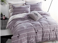 Комплект постельного белья Сатин SL  евро   31/341-SL