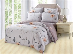 Постельное белье Сатин 2-спальный KB351-2