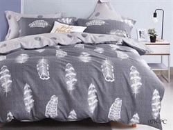 Постельное белье Поплин PC евро 31/078-PC