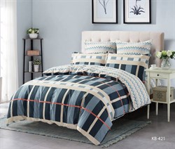 Постельное белье Сатин евро   KB421-3