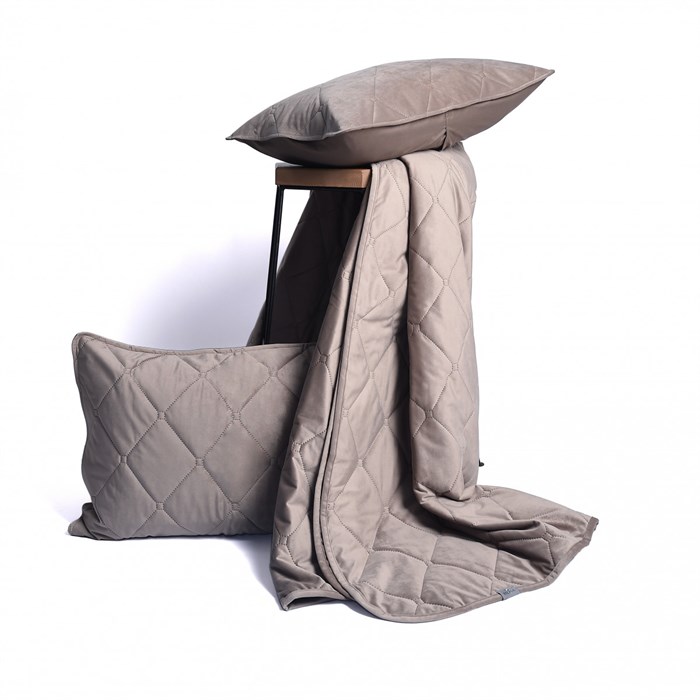 Покрывало жаккард PARADISE 240*260+наволочка 50*70-2шт ПНПр-2426/57-2-4