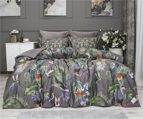 {{photo.Alt || photo.Description || 'Комплект с одеялом Колибри семейный'}}