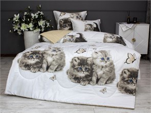 {{photo.Alt || photo.Description || 'Набор с одеялом Китти 1.5-спальный'}}