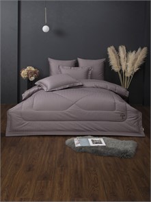 {{photo.Alt || photo.Description || 'Комплект с одеялом Страйп-сатин 1.5-спальный'}}