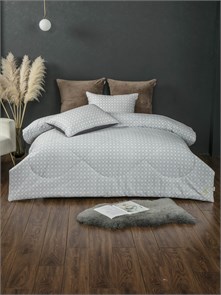 {{photo.Alt || photo.Description || 'Комплект с одеялом Линари евро'}}