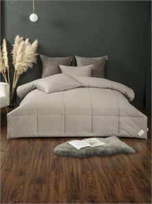 {{photo.Alt || photo.Description || 'Набор с одеялом Чикаго евро'}}