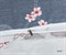 Постельное белье Сатин  1.5 спальный   KB481-1 - фото 67105 Постельное белье Сатин  1.5 спальный   KB481-1 - фото 67105