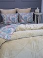 Комплект  с одеялом Агатти евро 2250к-3