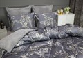 Комплект с одеялом Фазан евро 2579к-3