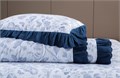Комплект с одеялом Эдем  евро 2668к-3