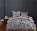 Постельное белье Сатин-Велюр Колибри семейный 2752к-4